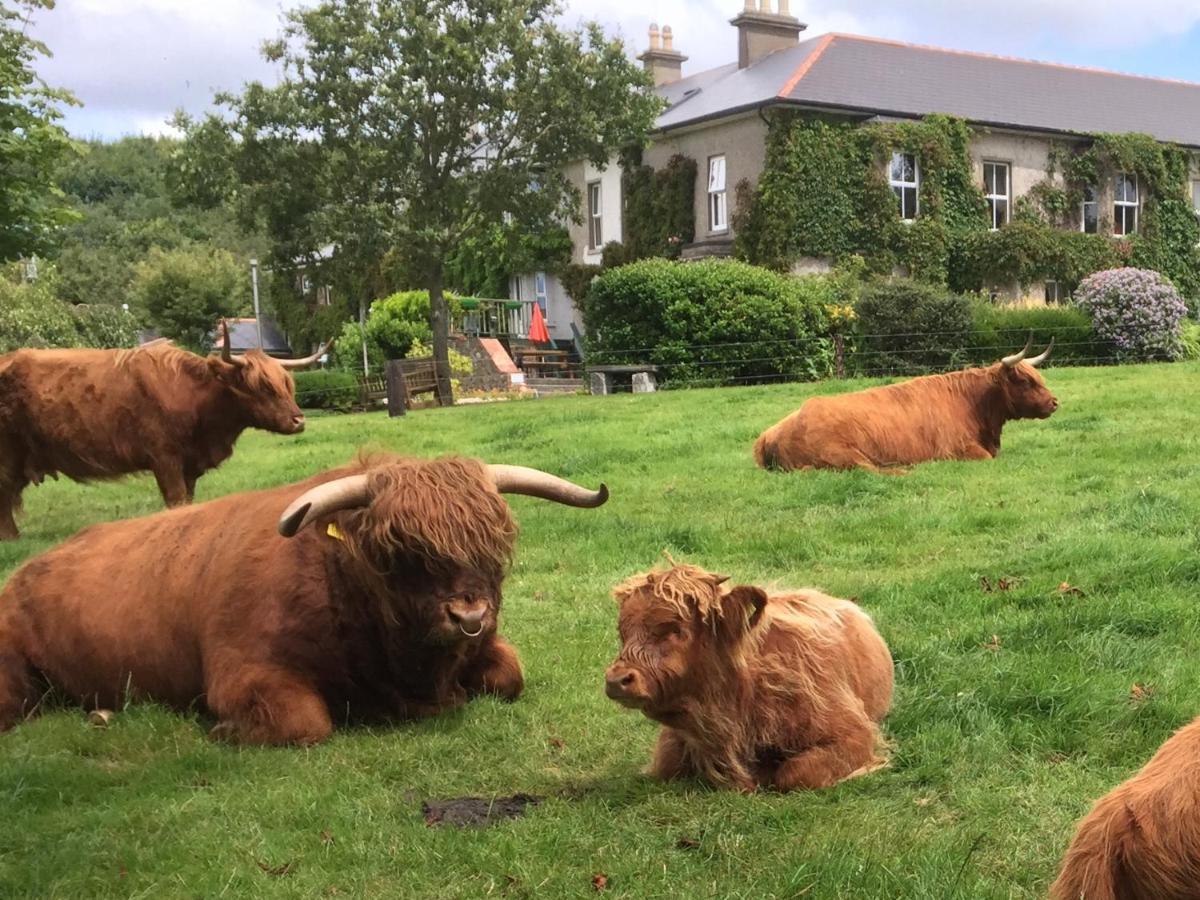Glendine Country House Wexford 阿瑟斯敦 外观 照片